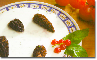 stuffed morels with roe deer pate